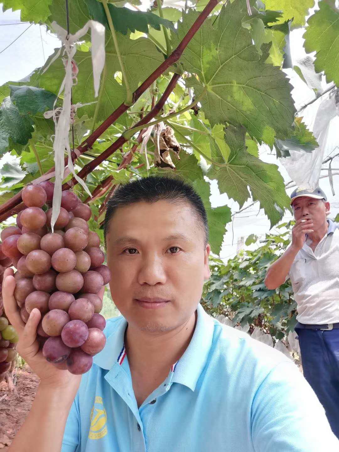 圖片1.jpg